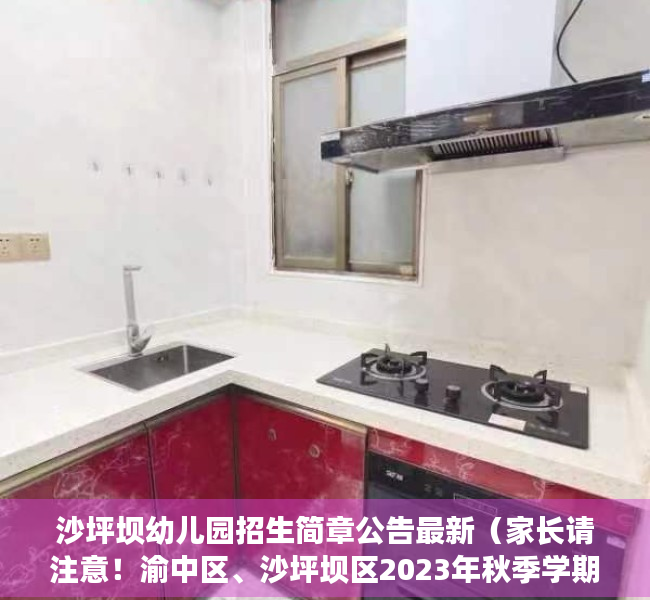 沙坪坝幼儿园招生简章公告最新（家长请注意！渝中区、沙坪坝区2023年秋季学期公办幼儿园报名时间来了）