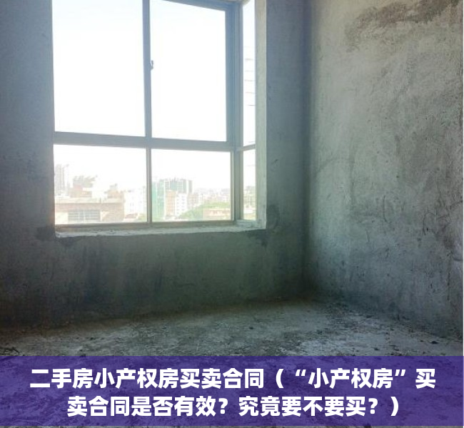二手房小产权房买卖合同（“小产权房”买卖合同是否有效？究竟要不要买？）