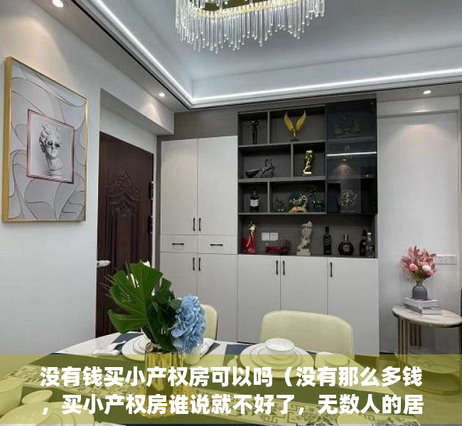 没有钱买小产权房可以吗（没有那么多钱，买小产权房谁说就不好了，无数人的居家希望！）