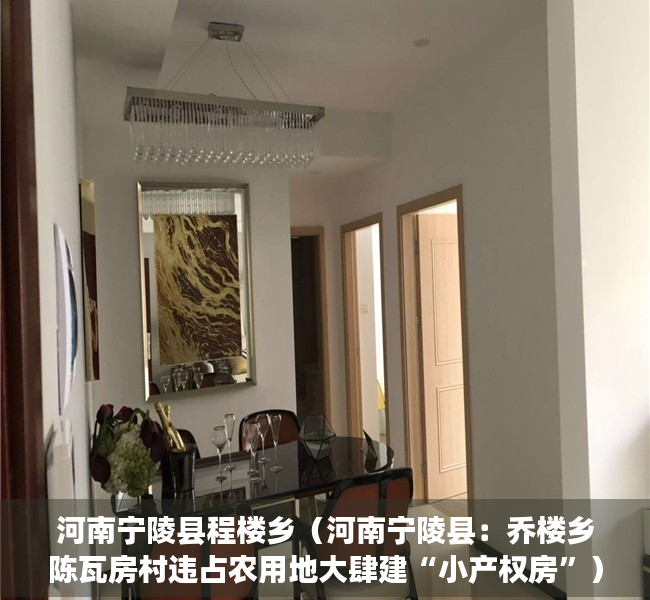 河南宁陵县程楼乡（河南宁陵县：乔楼乡陈瓦房村违占农用地大肆建“小产权房”）