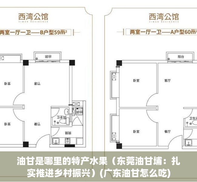 油甘是哪里的特产水果（东莞油甘埔：扎实推进乡村振兴）(广东油甘怎么吃)
