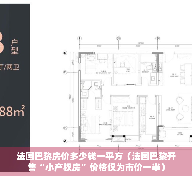 法国巴黎房价多少钱一平方（法国巴黎开售“小产权房”价格仅为市价一半）