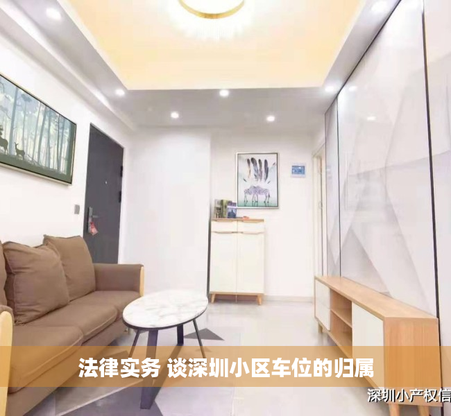 法律实务 谈深圳小区车位的归属