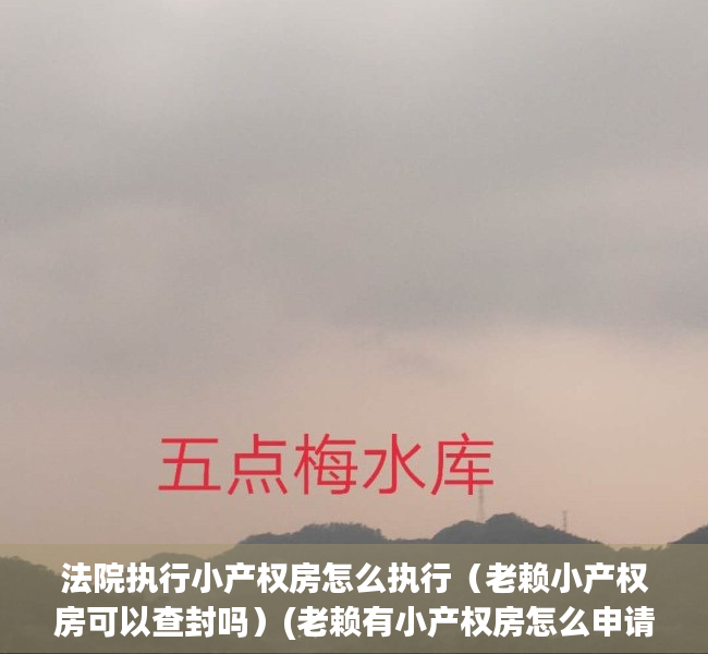 法院执行小产权房怎么执行（老赖小产权房可以查封吗）(老赖有小产权房怎么申请执行)