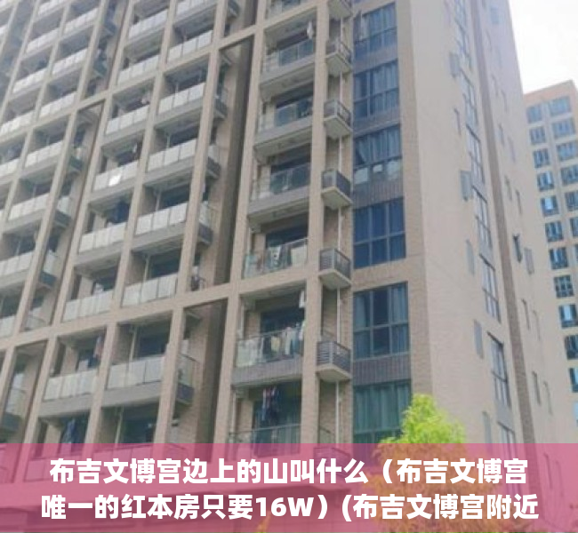 布吉文博宫边上的山叫什么（布吉文博宫唯一的红本房只要16W）(布吉文博宫附近景点)