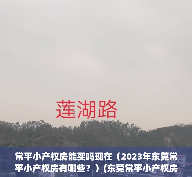 常平小产权房能买吗现在（2023年东莞常平小产权房有哪些？）(东莞常平小产权房价格)