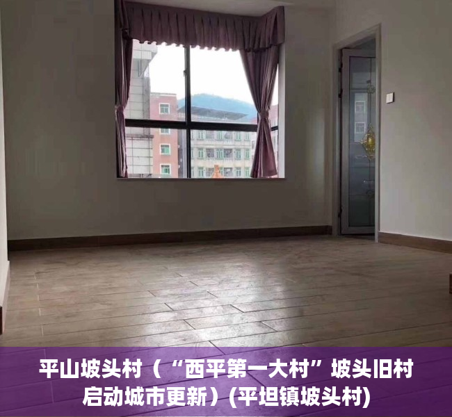 平山坡头村（“西平第一大村”坡头旧村启动城市更新）(平坦镇坡头村)