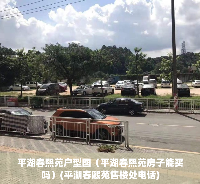 平湖春熙苑户型图（平湖春熙苑房子能买吗）(平湖春熙苑售楼处电话)