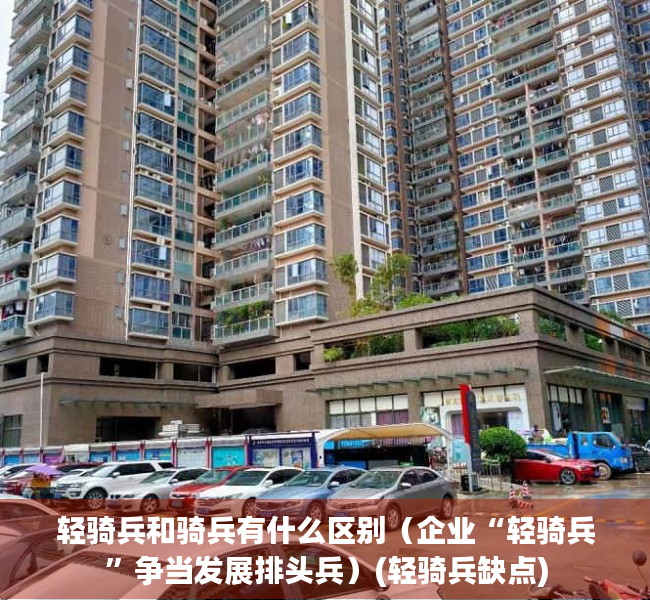 轻骑兵和骑兵有什么区别（企业“轻骑兵”争当发展排头兵）(轻骑兵缺点)