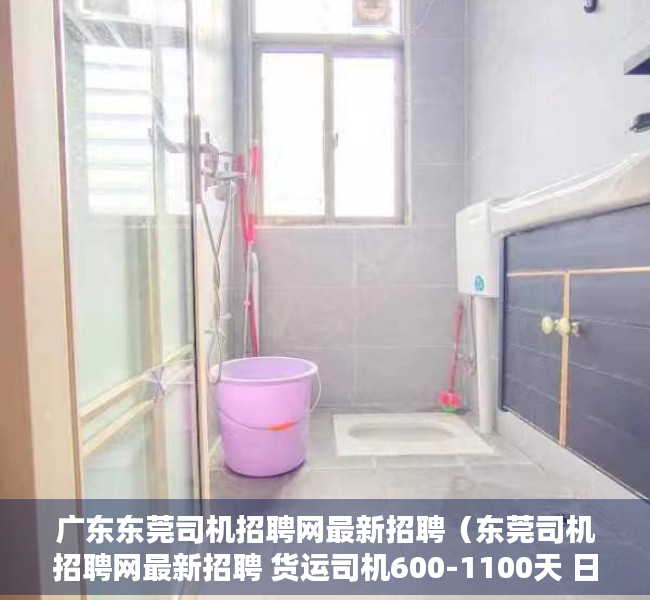 广东东莞司机招聘网最新招聘（东莞司机招聘网最新招聘 货运司机600-1100天 日结）