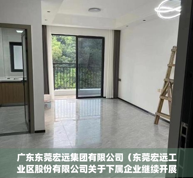 广东东莞宏远集团有限公司（东莞宏远工业区股份有限公司关于下属企业继续开展商品期货套期保值业务的公告）