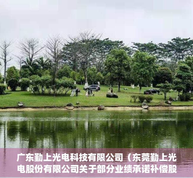 广东勤上光电科技有限公司（东莞勤上光电股份有限公司关于部分业绩承诺补偿股份回购注销完成的公告）