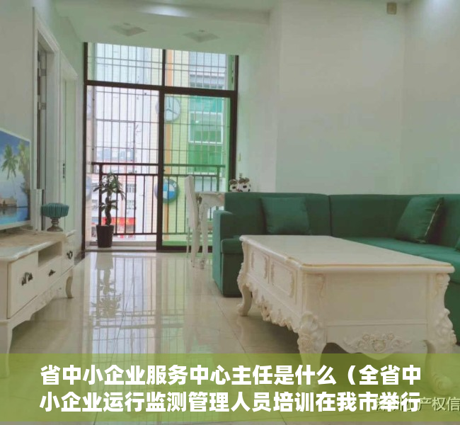 省中小企业服务中心主任是什么（全省中小企业运行监测管理人员培训在我市举行）