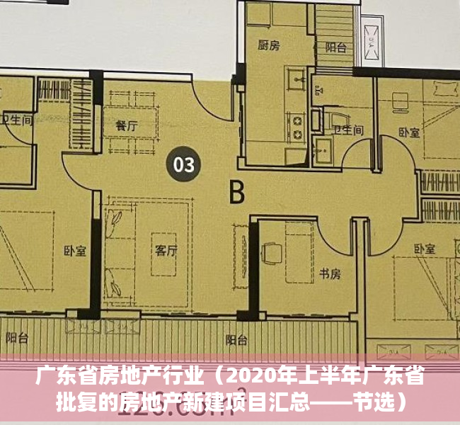 广东省房地产行业（2020年上半年广东省批复的房地产新建项目汇总——节选）