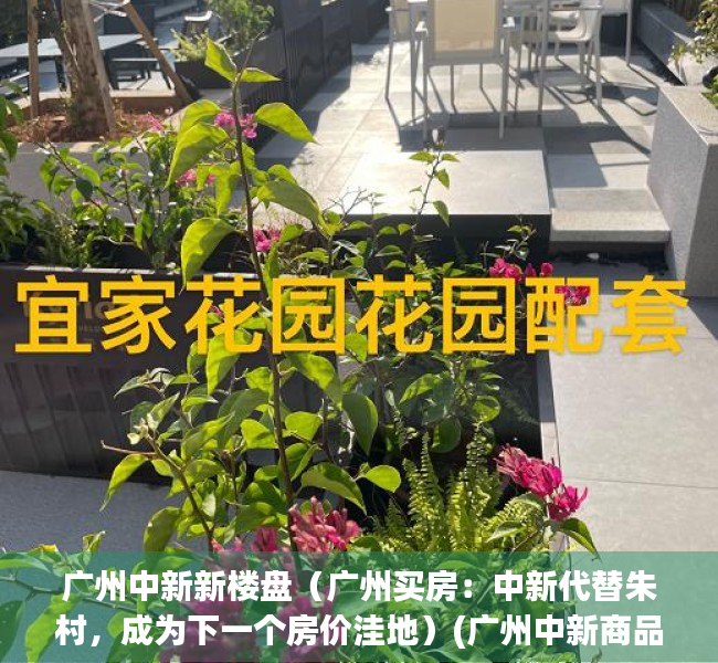 广州中新新楼盘（广州买房：中新代替朱村，成为下一个房价洼地）(广州中新商品房)