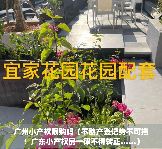 广州小产权限购吗（不动产登记势不可挡！广东小产权房一律不得转正……）