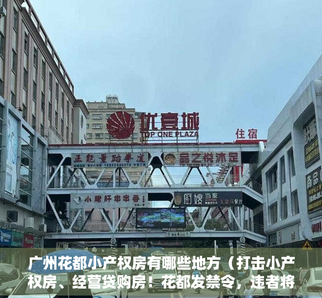 广州花都小产权房有哪些地方（打击小产权房、经营贷购房！花都发禁令，违者将受罚！）