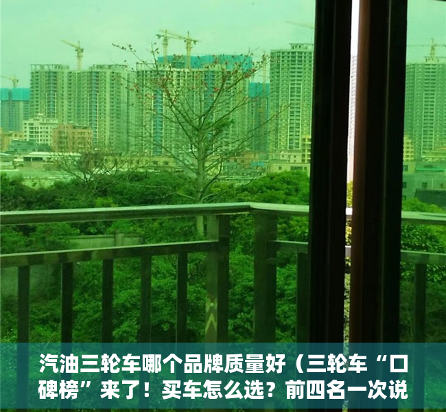 汽油三轮车哪个品牌质量好（三轮车“口碑榜”来了！买车怎么选？前四名一次说清楚，不会买错）