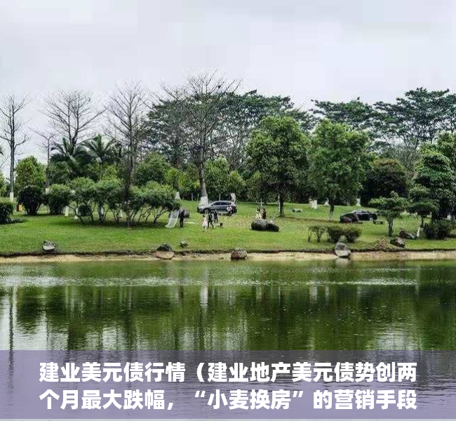 建业美元债行情（建业地产美元债势创两个月最大跌幅，“小麦换房”的营销手段市场并未买账，公司5月销售额同比减少713%）