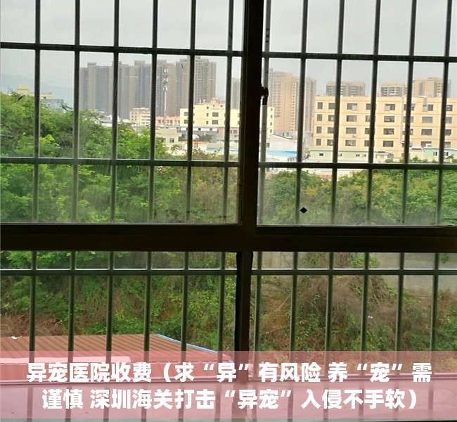 异宠医院收费（求“异”有风险 养“宠”需谨慎 深圳海关打击“异宠”入侵不手软）