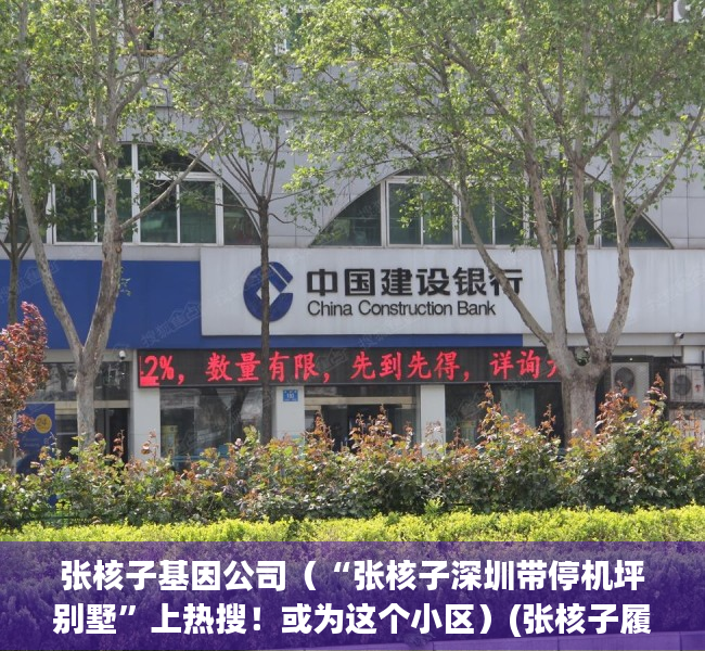张核子基因公司（“张核子深圳带停机坪别墅”上热搜！或为这个小区）(张核子履历)