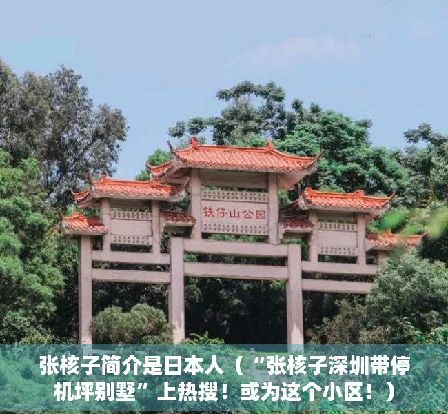 张核子简介是日本人（“张核子深圳带停机坪别墅”上热搜！或为这个小区！）