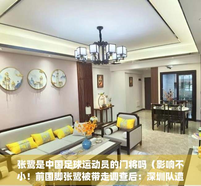 张鹭是中国足球运动员的门将吗（影响不小！前国脚张鹭被带走调查后：深圳队遭遇中超3连败！）