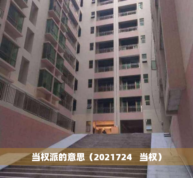 当权派的意思（2021724   当权）