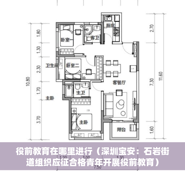 役前教育在哪里进行（深圳宝安：石岩街道组织应征合格青年开展役前教育）
