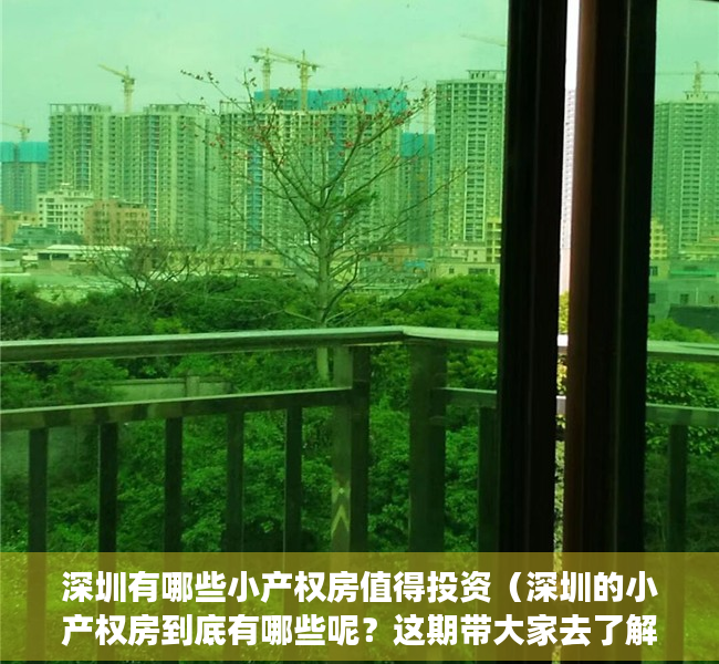 深圳有哪些小产权房值得投资（深圳的小产权房到底有哪些呢？这期带大家去了解一下）