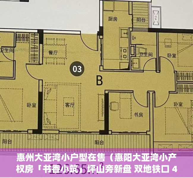 惠州大亚湾小户型在售（惠阳大亚湾小产权房「书香小筑」坪山旁新盘 双地铁口 45万即可入住 大亚湾第三中学大亚湾西区实验学校华师附龙光购物广场-沃尔玛）