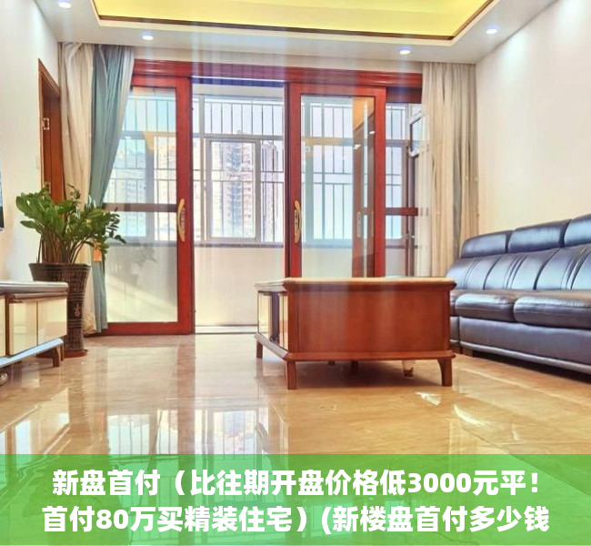 新盘首付（比往期开盘价格低3000元平！首付80万买精装住宅）(新楼盘首付多少钱)