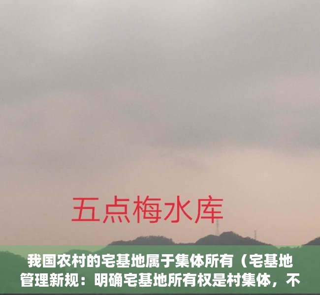 我国农村的宅基地属于集体所有（宅基地管理新规：明确宅基地所有权是村集体，不得买卖）