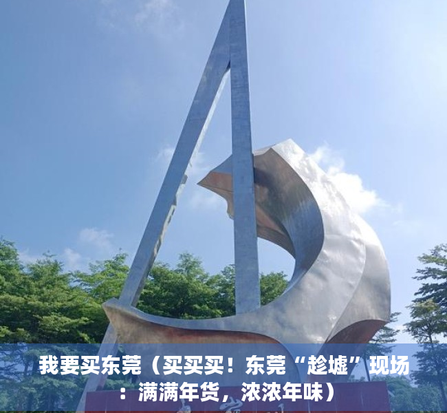我要买东莞（买买买！东莞“趁墟”现场：满满年货，浓浓年味）