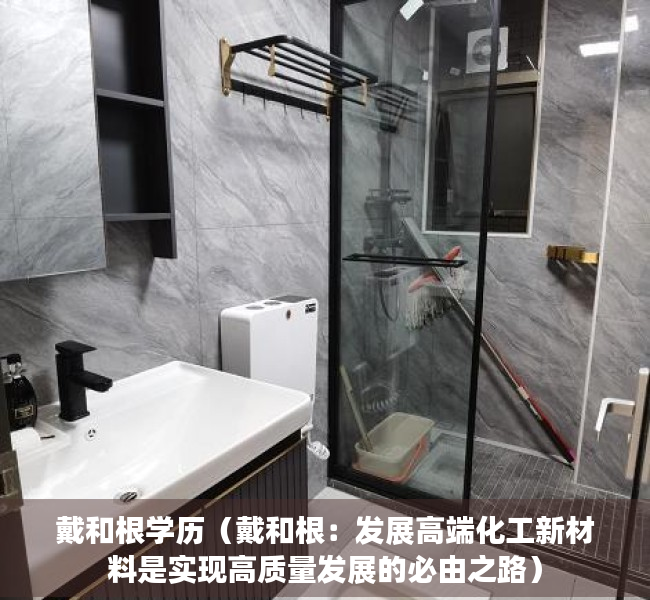 戴和根学历（戴和根：发展高端化工新材料是实现高质量发展的必由之路）