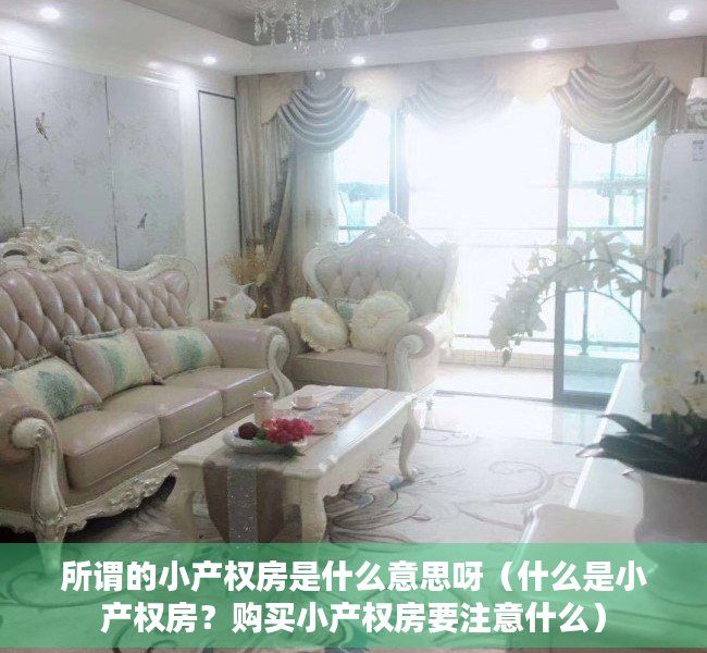 所谓的小产权房是什么意思呀（什么是小产权房？购买小产权房要注意什么）