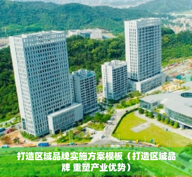 打造区域品牌实施方案模板（打造区域品牌 重塑产业优势）