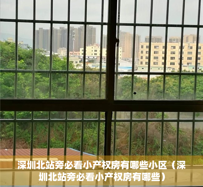 深圳北站旁必看小产权房有哪些小区（深圳北站旁必看小产权房有哪些）