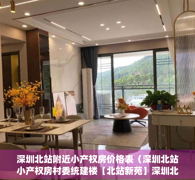深圳北站附近小产权房价格表（深圳北站小产权房村委统建楼【北站新苑】深圳北上丰花园周边小产权房北站新苑】地铁口物业（北站新苑）电梯房）