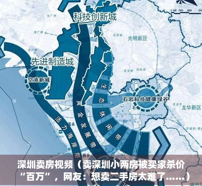 深圳卖房视频（卖深圳小两房被买家杀价“百万”，网友：想卖二手房太难了……）