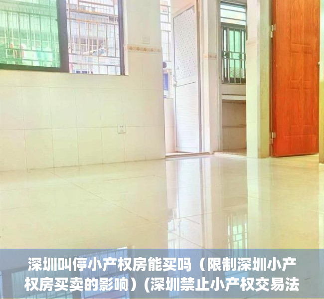 深圳叫停小产权房能买吗（限制深圳小产权房买卖的影响）(深圳禁止小产权交易法案)