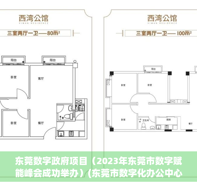 东莞数字政府项目（2023年东莞市数字赋能峰会成功举办）(东莞市数字化办公中心)