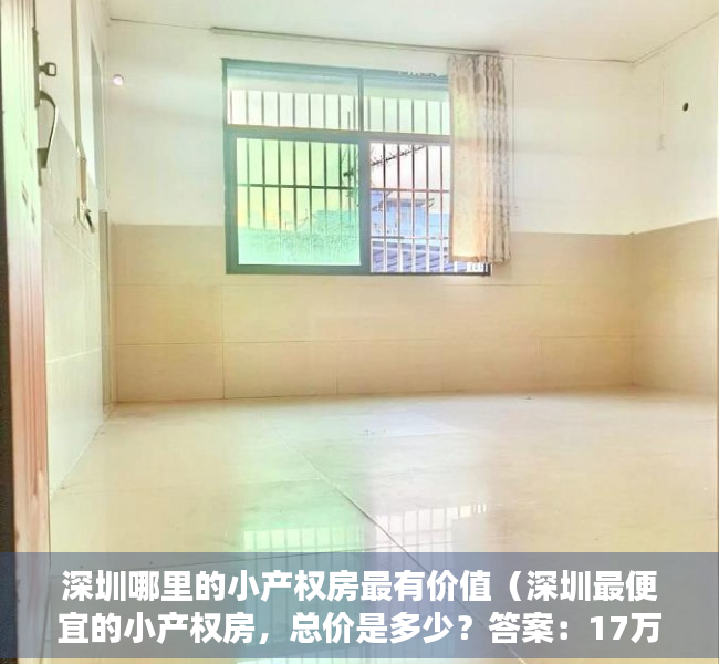 深圳哪里的小产权房最有价值（深圳最便宜的小产权房，总价是多少？答案：17万！）
