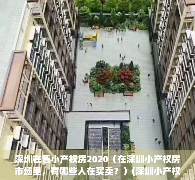 深圳在售小产权房2020（在深圳小产权房市场里，有哪些人在买卖？）(深圳小产权房销售火爆,近八成购房者为投资客)