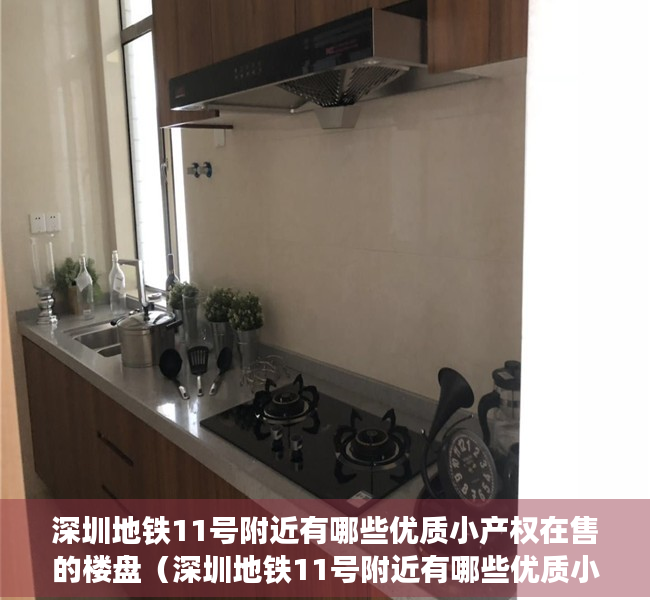深圳地铁11号附近有哪些优质小产权在售的楼盘（深圳地铁11号附近有哪些优质小产权在售？）