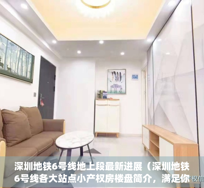 深圳地铁6号线地上段最新进展（深圳地铁6号线各大站点小产权房楼盘简介，满足你一切需求）
