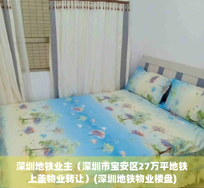 深圳地铁业主（深圳市宝安区27万平地铁上盖物业转让）(深圳地铁物业楼盘)