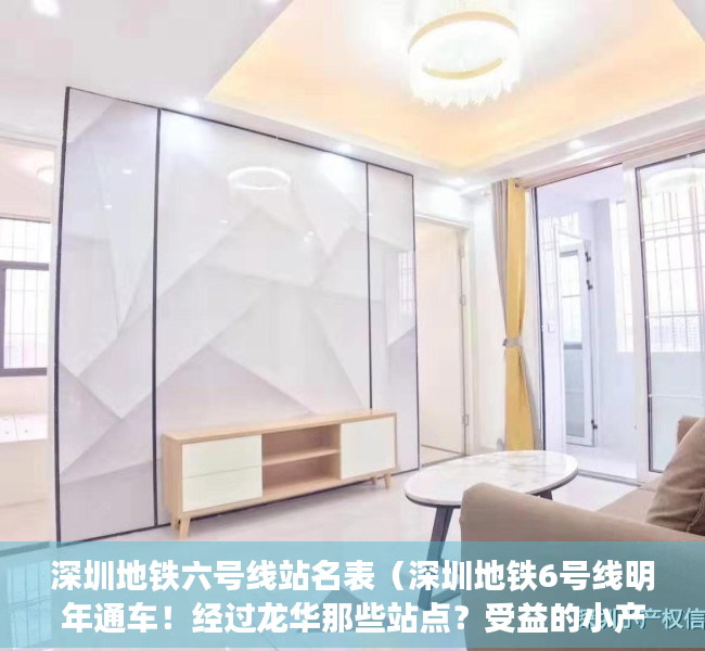 深圳地铁六号线站名表（深圳地铁6号线明年通车！经过龙华那些站点？受益的小产权都在这）