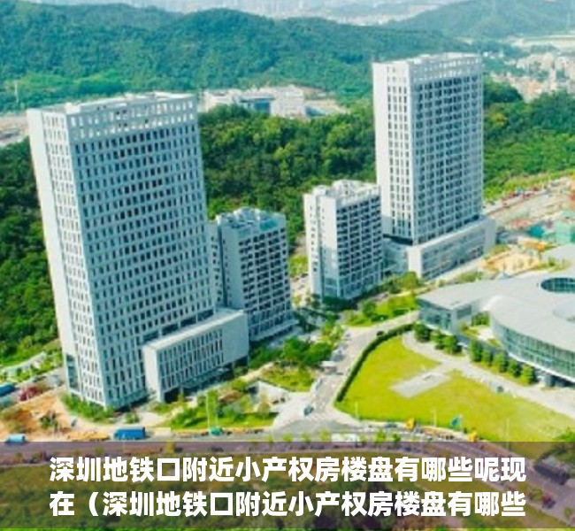 深圳地铁口附近小产权房楼盘有哪些呢现在（深圳地铁口附近小产权房楼盘有哪些？）