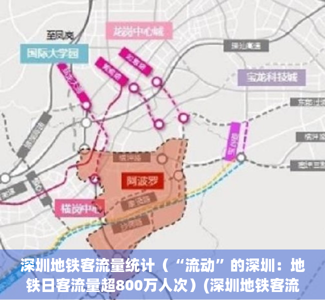 深圳地铁客流量统计（“流动”的深圳：地铁日客流量超800万人次）(深圳地铁客流量统计2020)